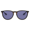 Gafas Ray Ban RB4171 Erika Clasico Violeta Oscuro – Gafas Ray Ban Ecuador -EyewearLocker