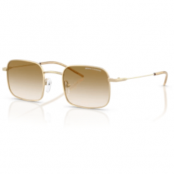  Armani Exchange AX2055 Shiny Pale Gold Brown