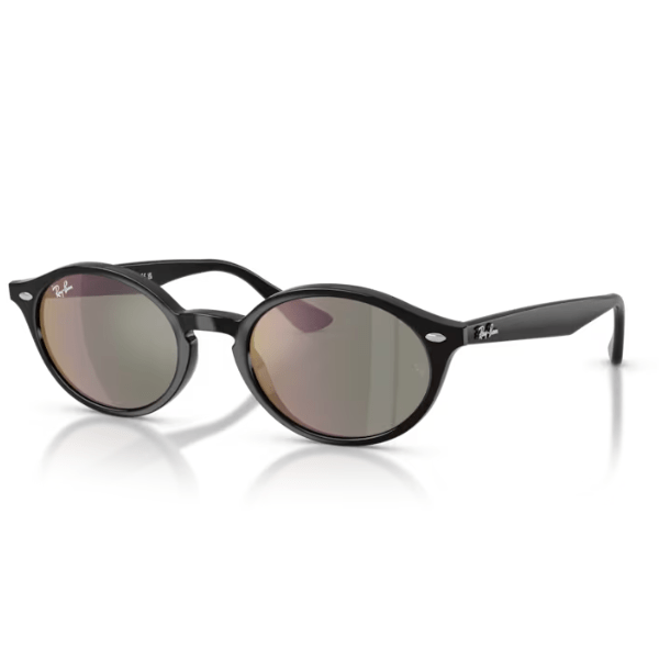 Ray-Ban-RB4315- Polished-Black- Bronze-Eyewearlocker-1